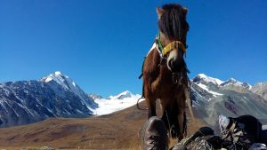Trek Altai Mongolie