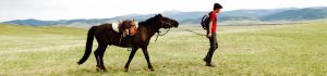 A cheval Mongolie vallée d'Orhon