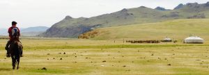 Cheval Orkhon Mongolie