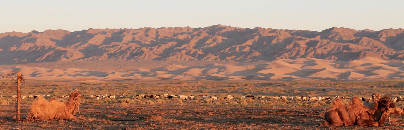 Massif de Gurvan Saikhan Gobi Mongolie