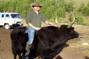 A dos de Yack Mongolie