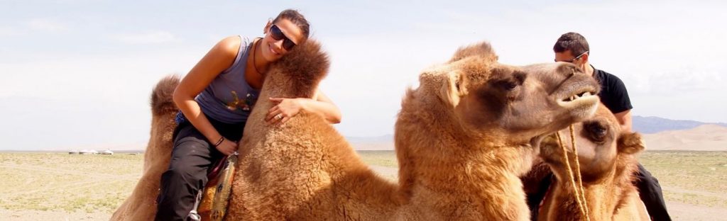 Balade en Chameau aux dunes du Gobi