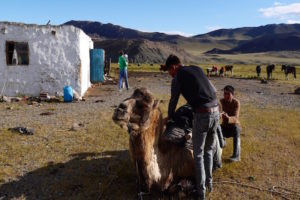 Camp Altai Mongolie