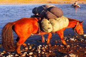 Cheval de bât trappeur cheval
