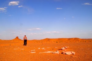 Gobi désert de Mongolie