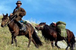 Guide mongol en cheval de bât