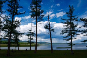 La rive boisée lac Khovsgol Mongolie