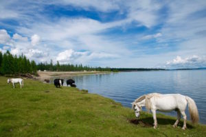 Rive Khovsgol Mongolie nord