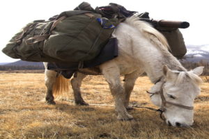 Sacoches cheval de bât
